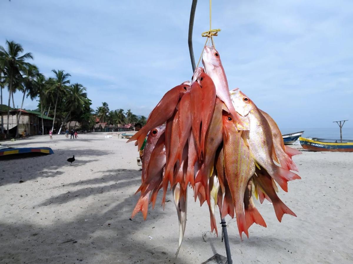 Hostal Velero Relax Guachaca Luaran gambar